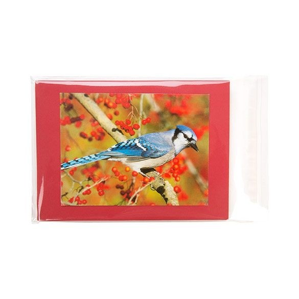 Plastic Bags 14.6x19.7cm Transparent Peel and Seal