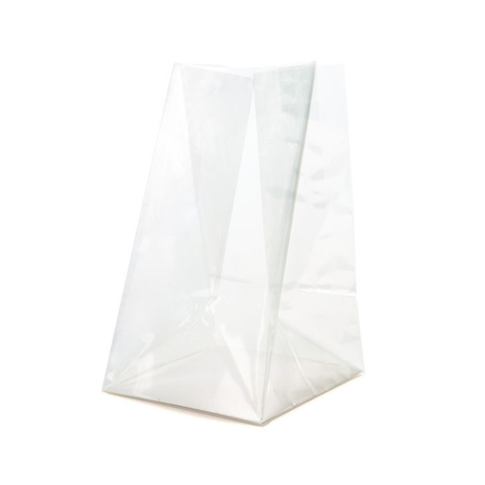 Block Bottom Bags Clear 8.9x5.7x24.8cm with paper insert
