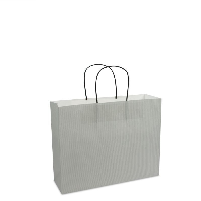 Paper Carrier Bags Silver 32+10x25cm Twisted Handles + Cardboard Base