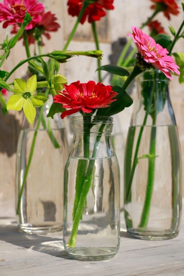 Milchflaschen aus Glas 250ml | 14x6cm (24 Stück) [IFS-129191]