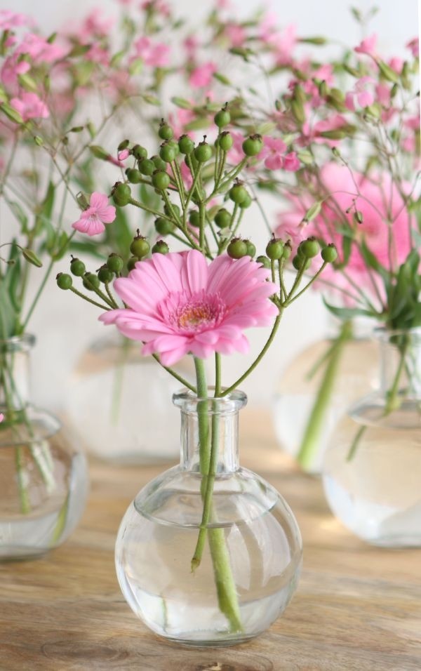 Bauchflasche Glas 10x8cm - (24 Stück) [IFS-129193]