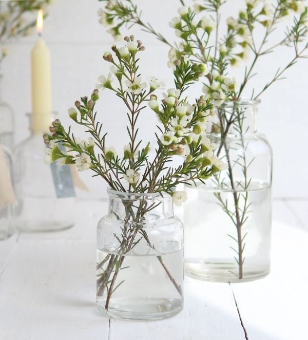 Medizinflasche Glas 10x7cm - (24 Stück) [IFS-129194]