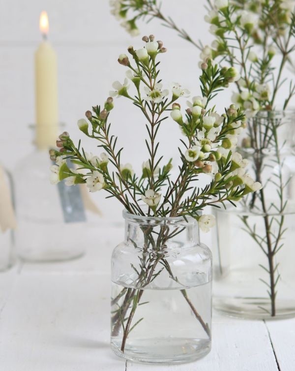 Medizinflasche Glas 10x7cm - (24 Stück) [IFS-129194]