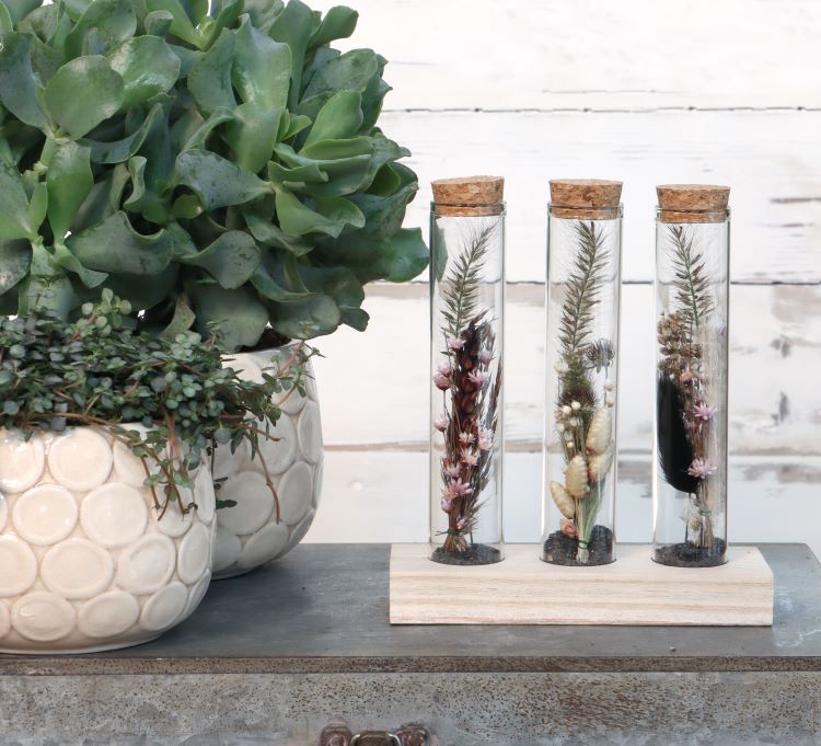 Glasröhre Ø3cm auf Holzbrett (12 Stück) [IFS-29148]