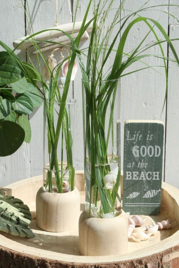 Testrohr mit Holzbasis 5x28cm (1 Stück) [IFS-29219]