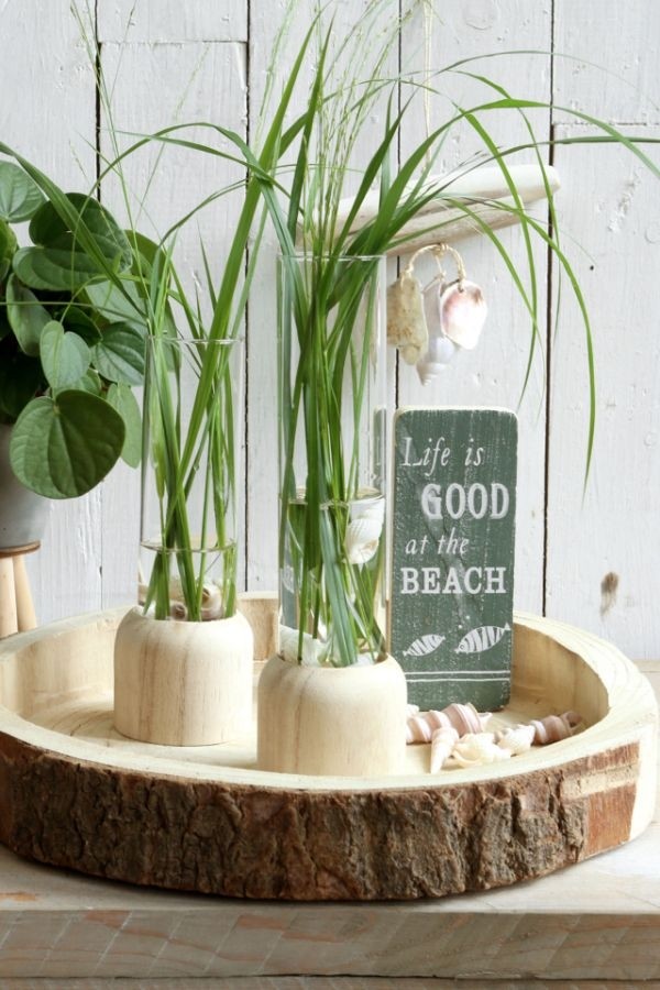 Testrohr mit Holzbasis 5x28cm (1 Stück) [IFS-29219]