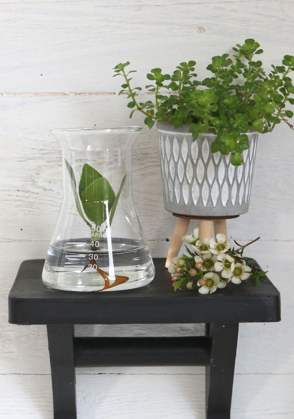 Labor-Glastrichter 8x11cm (1 Stück) [IFS-29256]