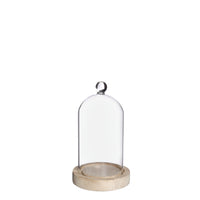 Glass dome with knob and wood base Ø10 h.17 cm (1 pc)