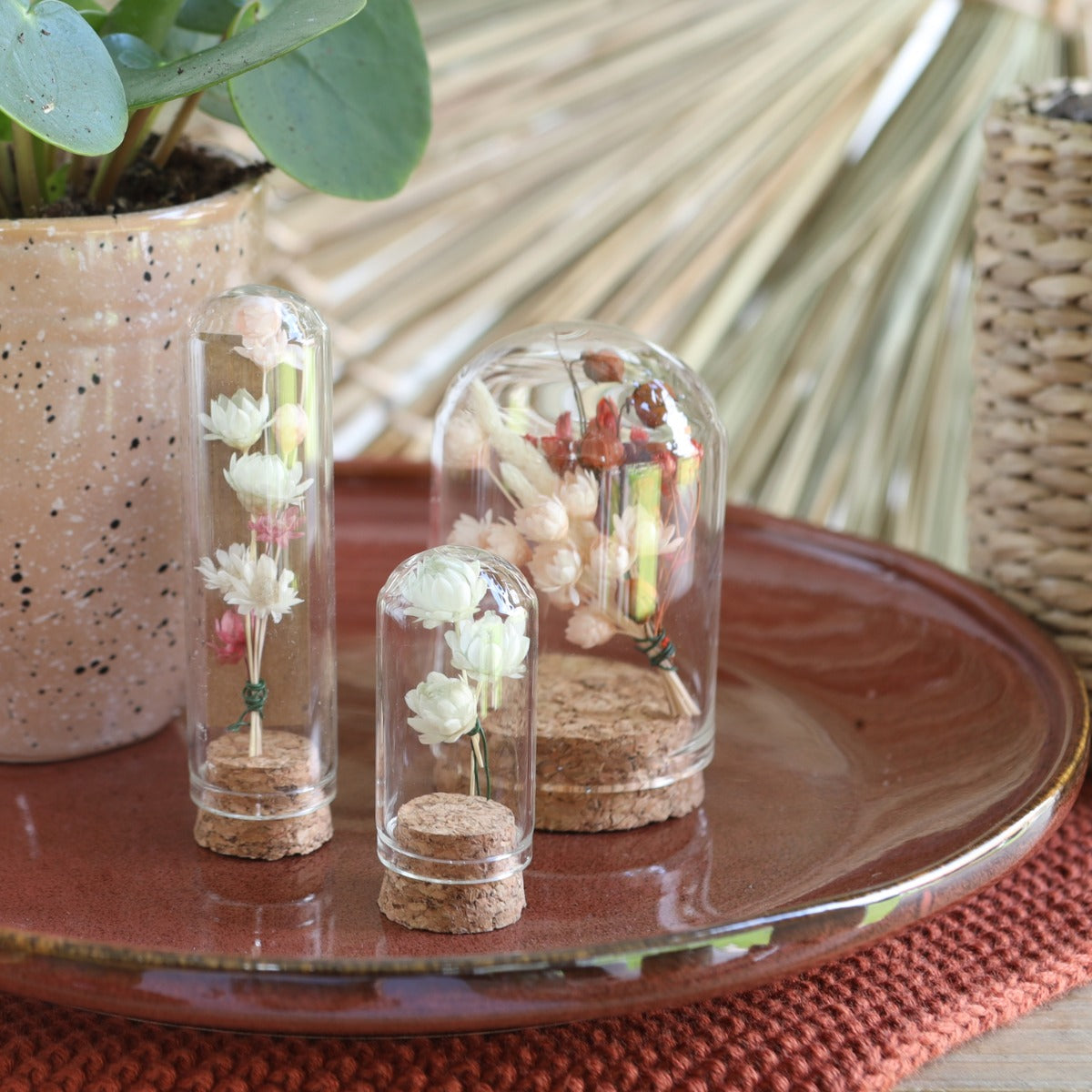 Mini-Stolpersteine aus Glas Ø2cm | H: 7cm | Mit Kork (12 Stück) [IFS-29409]