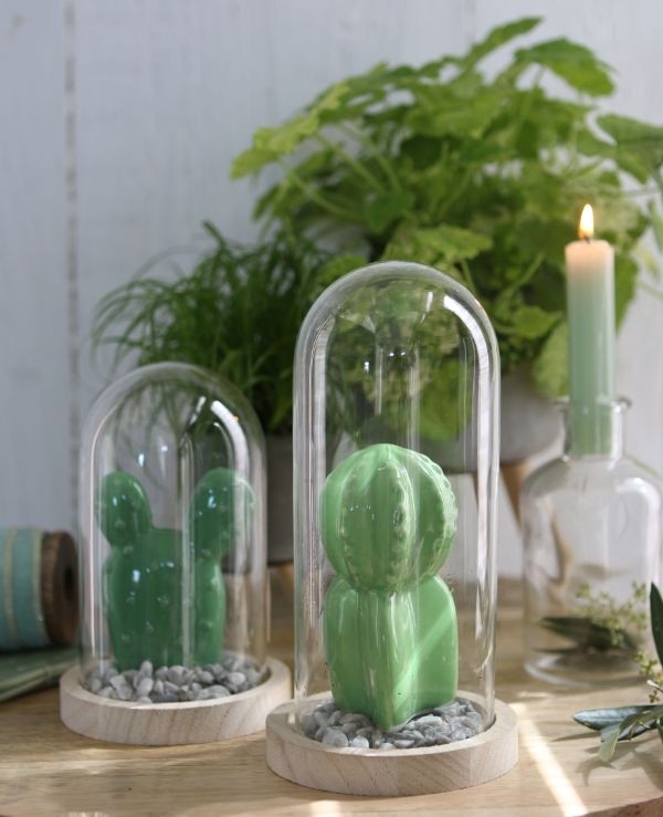 Glaskuppel mit Holzsockel 10x20cm (1 Stück) [IFS-29429]