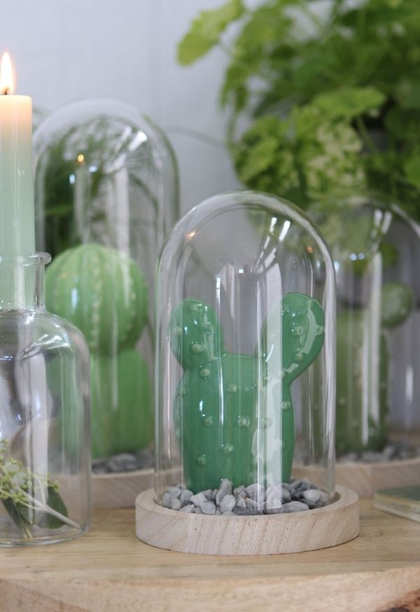 Glaskuppel mit Holzsockel 10x15cm (1 Stück) [IFS-29428]