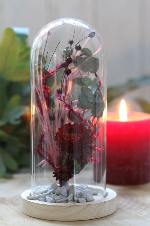 Glaskuppel mit Holzsockel 10x20cm (1 Stück) [IFS-29429]