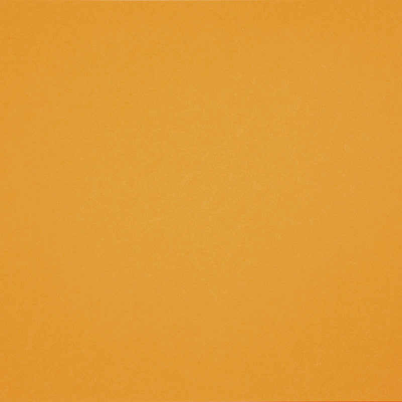 Französischer Karton, A4, Blatt 210x297 mm, 160 g, Canary, 1 Bl. [HOB-294400]