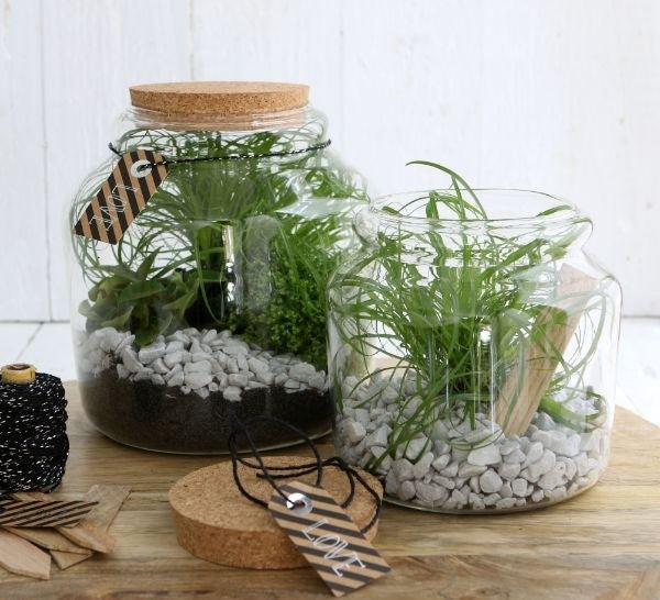 Glasgefäß mit Kork 15x14cm (1 Stück) [IFS-29451]