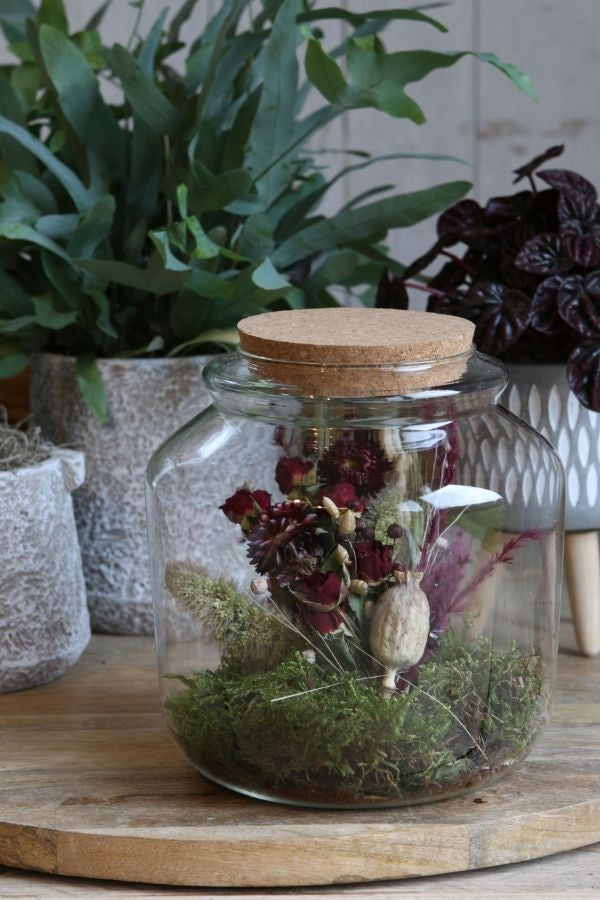 Glasgefäß mit Kork 18x18cm (1 Stück) [IFS-29452]