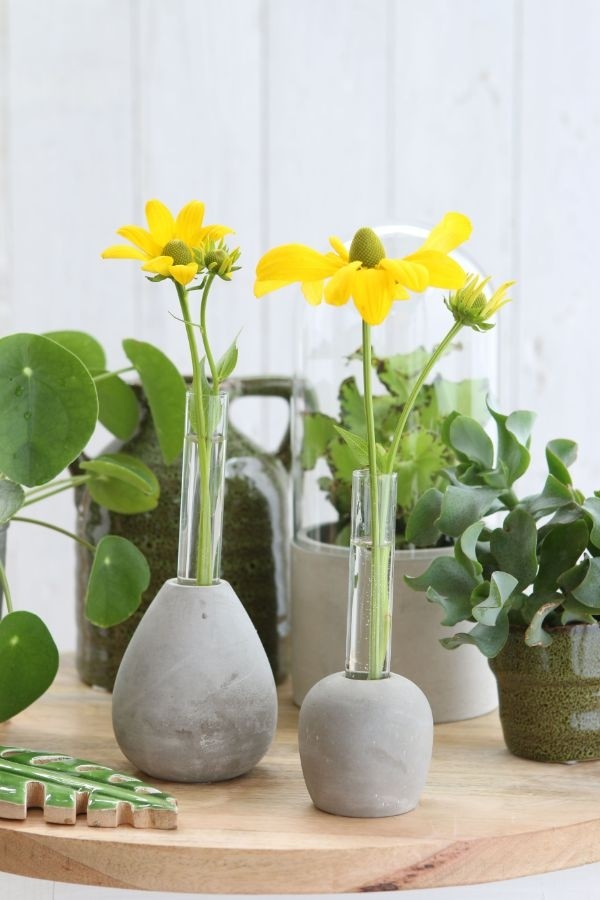 Testrohr mit Zement-Basis 60x150mm (1 Stück) [IFS-29475]