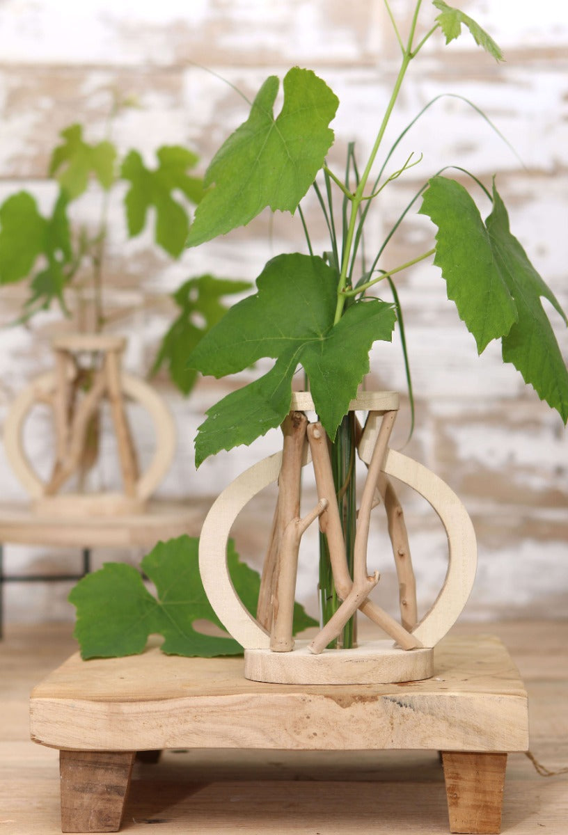 Reagenzglas mit Ständer aus recyceltem Holz Groß 14x7x18.5cm (1 Stück) [IFS-29645]