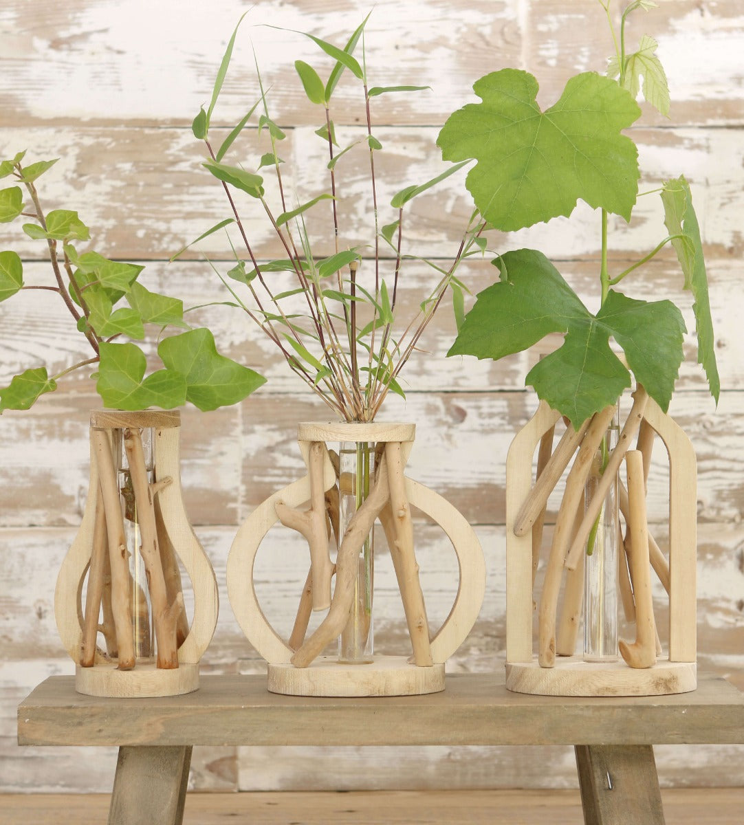 Reagenzglas mit Ständer aus recyceltem Holz Groß 14x7x18.5cm (1 Stück) [IFS-29645]