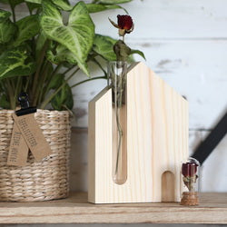 Hausstandard mit Reagenzglas 10x3x14cm (6 Stück) [IFS-29649]