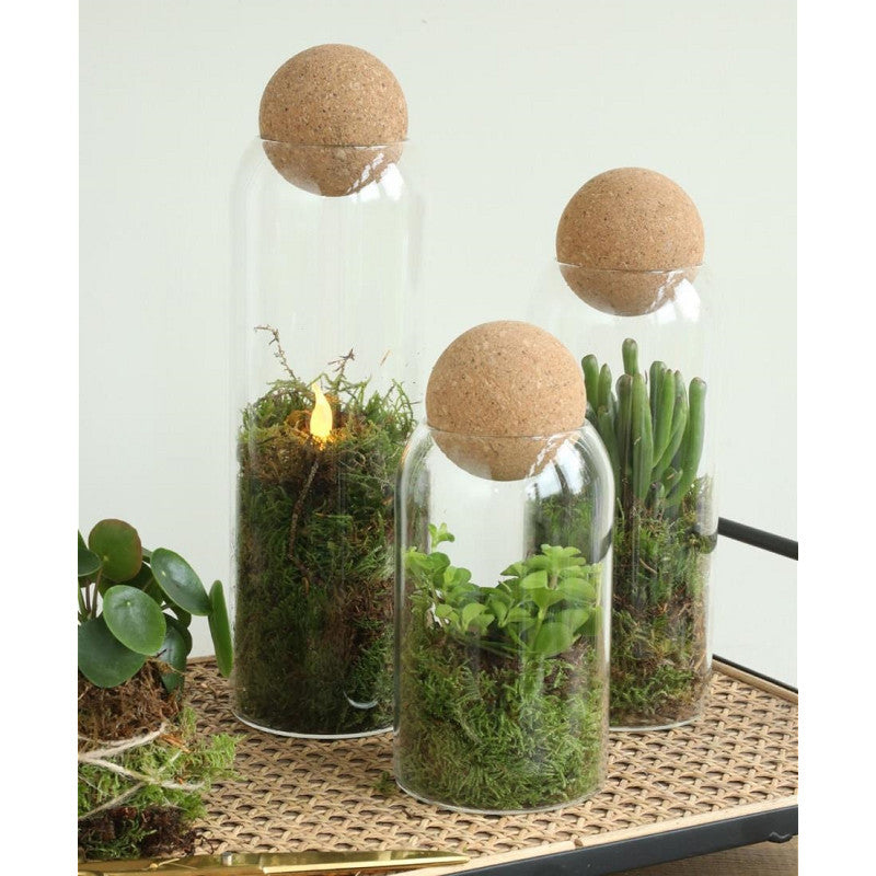 Glas-Terrarium Sienna Ø 8,5 cm, H. 24 cm (6 Stück) [IFS-29715]