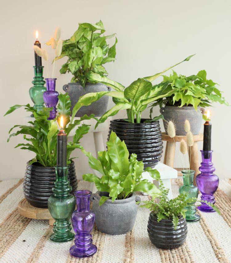 Vase Venedig Grün H: 15,5 x Ø5,7 cm (12 Stück) [IFS-29895]