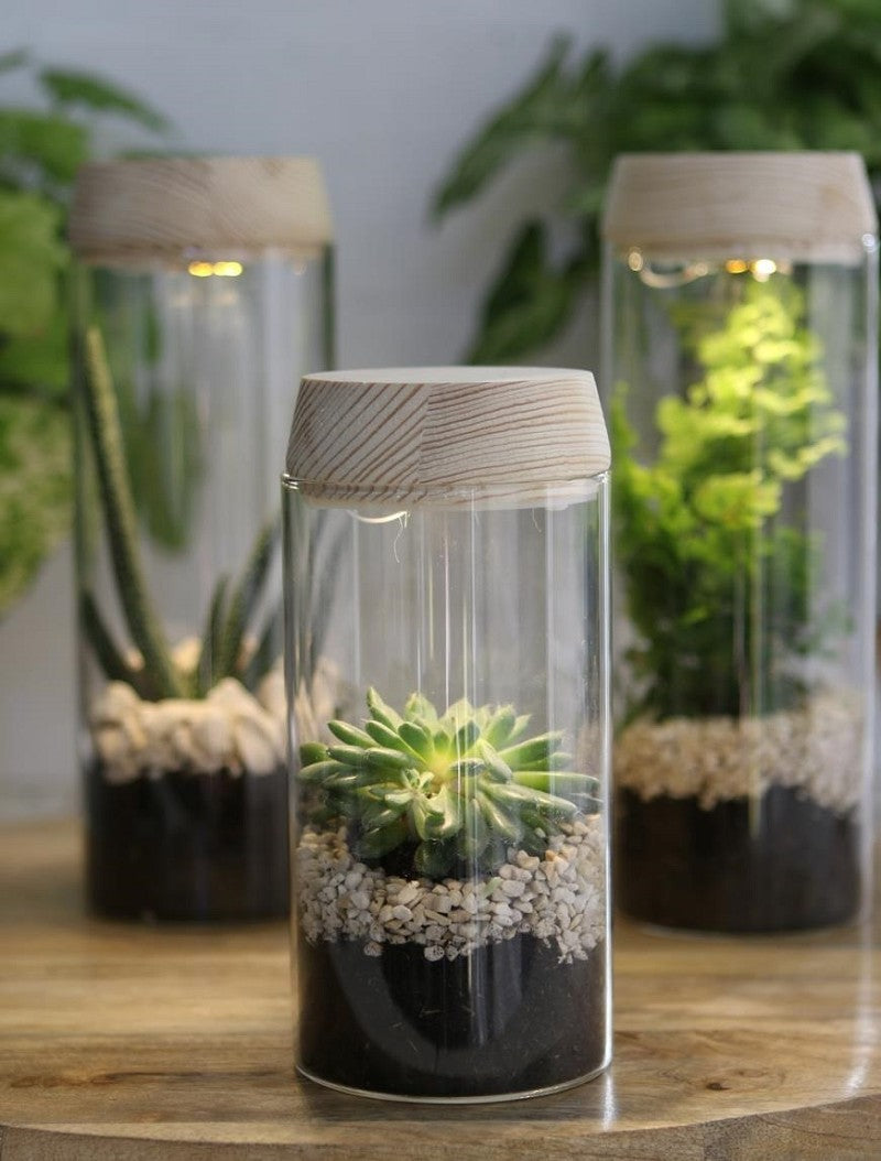 Reagenzglas Ø8 h: 18 cm m. Solar-Kork-Deckel (1 st) [IFS-30173]