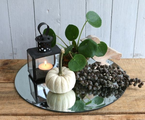 Runde Spiegelplatte Ø58cm mit Schrägkanten (1 Stück) [IFS-30204]