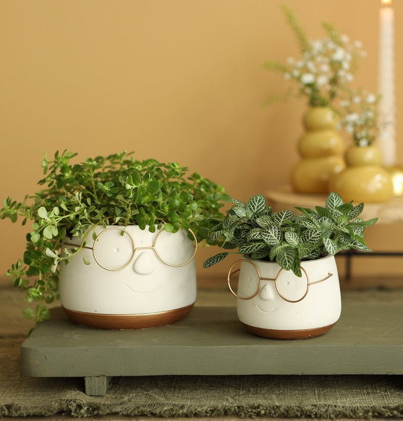 Topf mit Brille Gold Ø8,5 h: 6,5 cm (6 Stück) [IFS-33096]