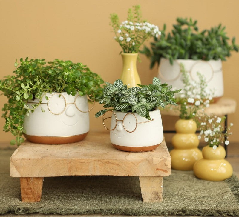 Topf mit Brille Gold Ø12 h: 9 cm (6 Stück) [IFS-33097]