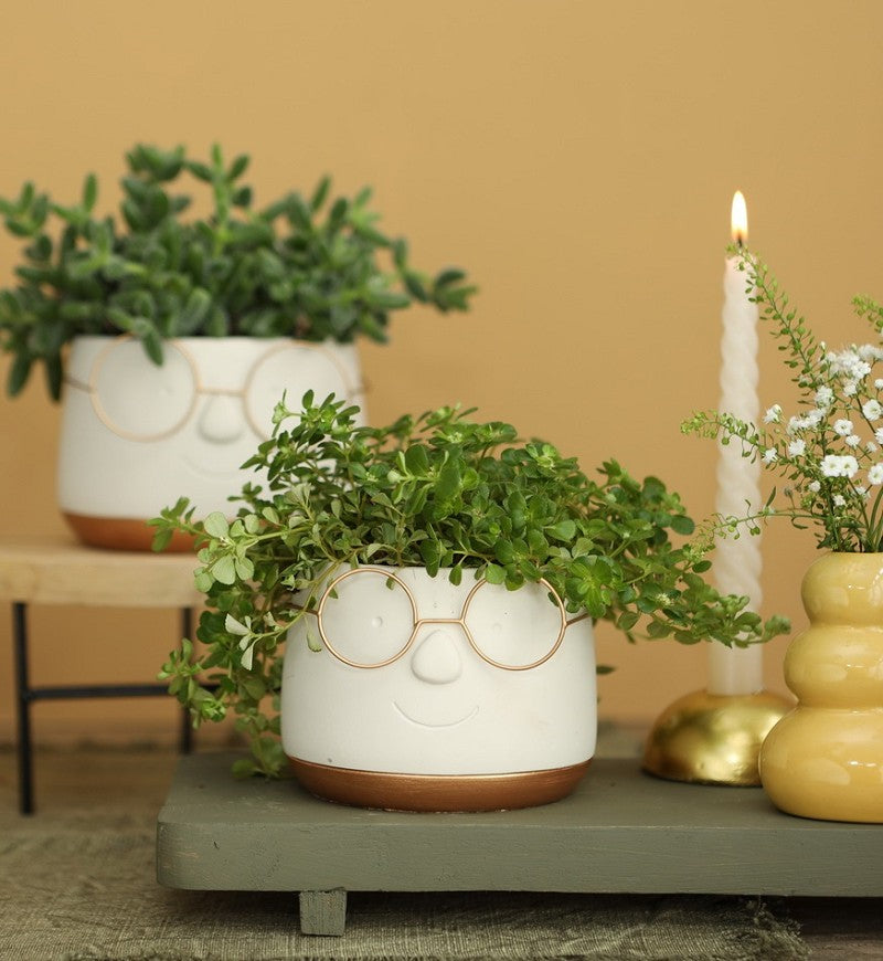 Topf mit Brille Gold Ø12 h: 9 cm (6 Stück) [IFS-33097]