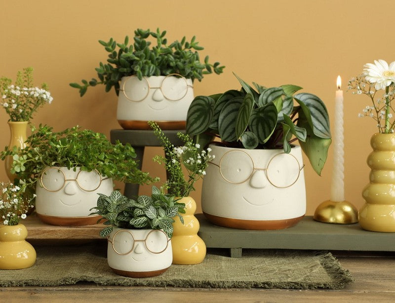 Topf mit Brille Gold Ø13,5 h: 10,5 cm (6 Stück) [IFS-33098]