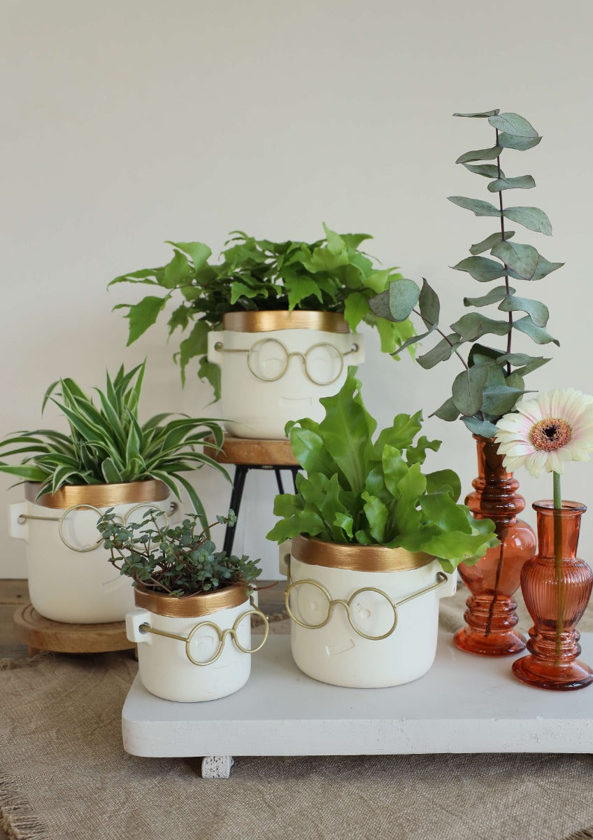 Topf mit Brille Gold 2 ass. Ø12 h:11,5 cm (6 Stück) [IFS-33184]