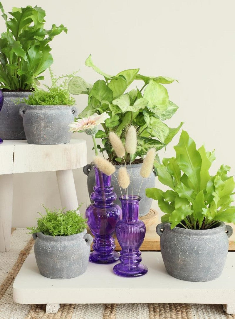 Amphoren Topf 14x12,2x9 cm (6 Stück) [IFS-33243]