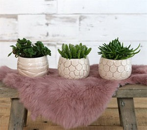 Blumentöpfe Mila Craquelé Creme | H: 7cm (9 Stück) [IFS-33507]