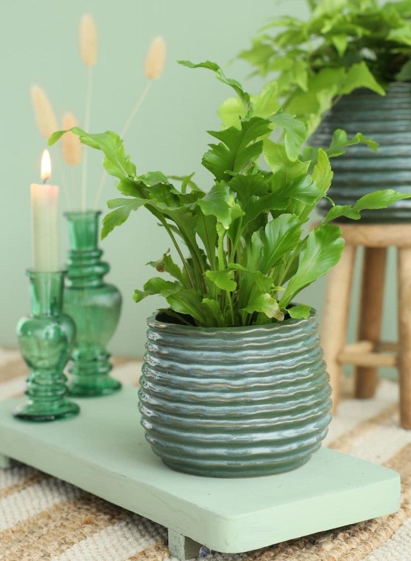 Topf Dunkelgrün Rise Ø13 x h: 15,5 cm (4 Stück) [IFS-33955]