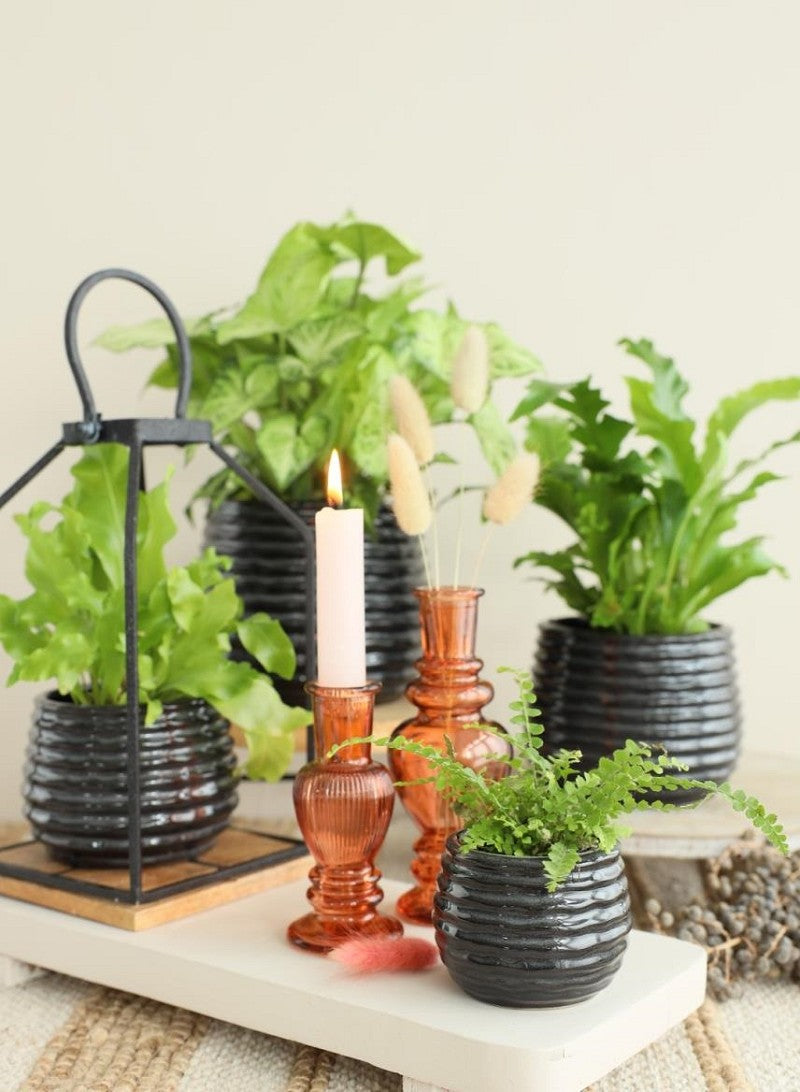 Topf Schwarz Anthrazit Rise Ø6,5 x h: 8 cm (12 Stück) [IFS-33972]