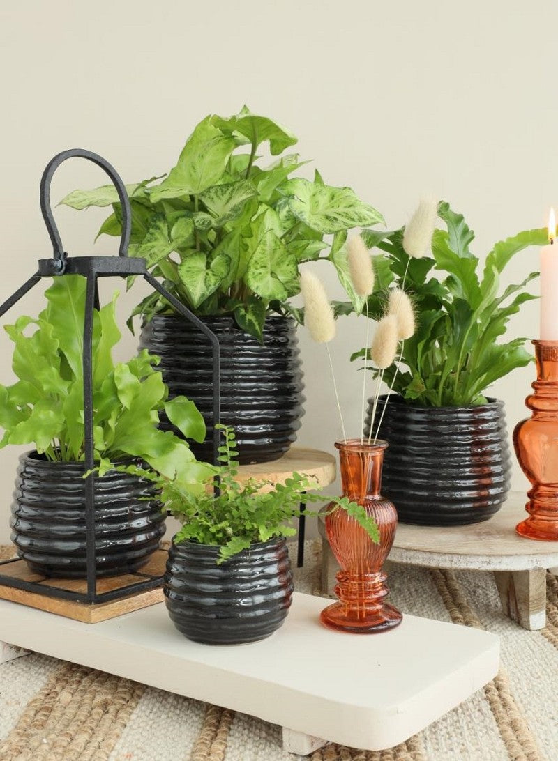 Topf Schwarz Anthrazit Rise Ø13 x h: 15,5 cm (4 Stück) [IFS-33975]