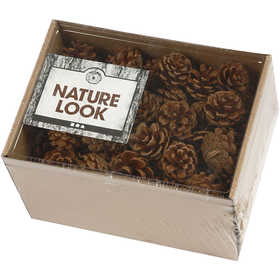 Kiefernzapfen, D 40 mm, ca. 60 Stk, 500 g/ 1 Pck [HOB-50226]