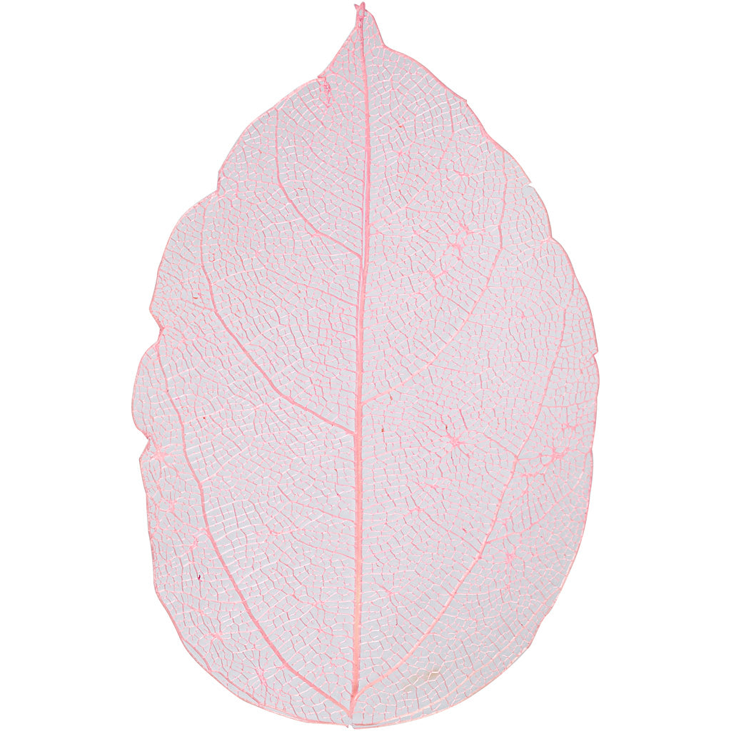Skeleton Leaves, L: 6-8 cm, light red, 20 pc