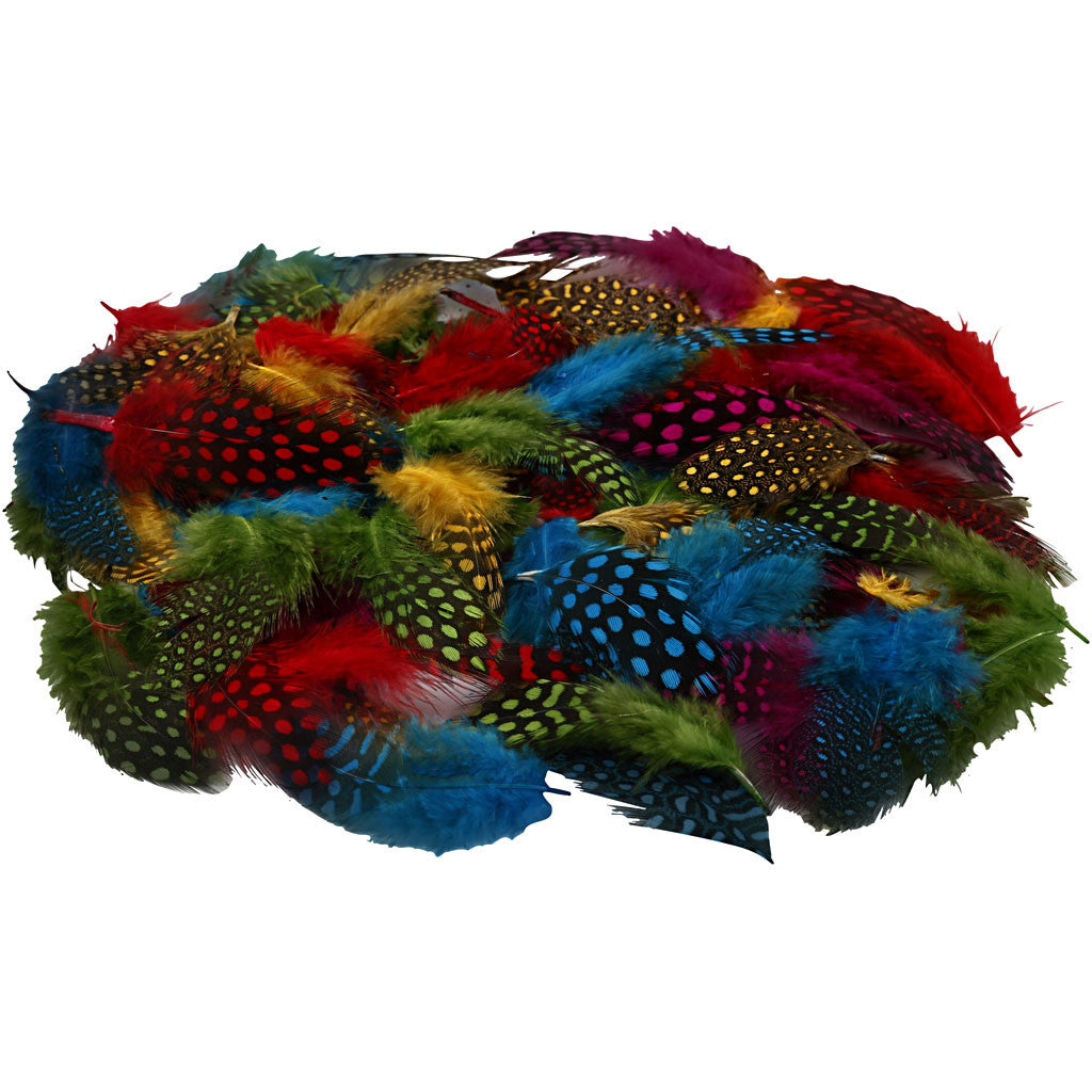 Perlhuhnfedern , Sortierte Farben, 3g/ 1 Pck [HOB-51813]