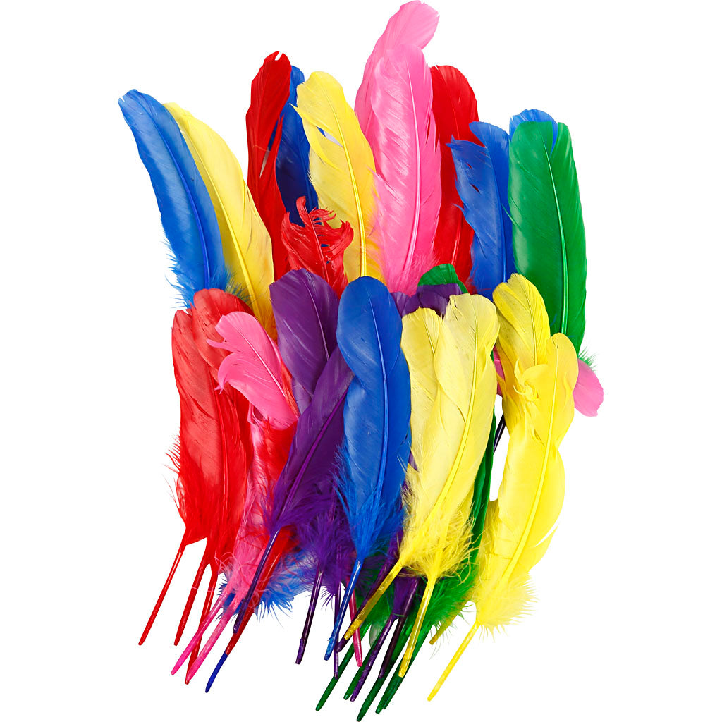 Feathers, L: 20 cm, assorted colours, 36 pc