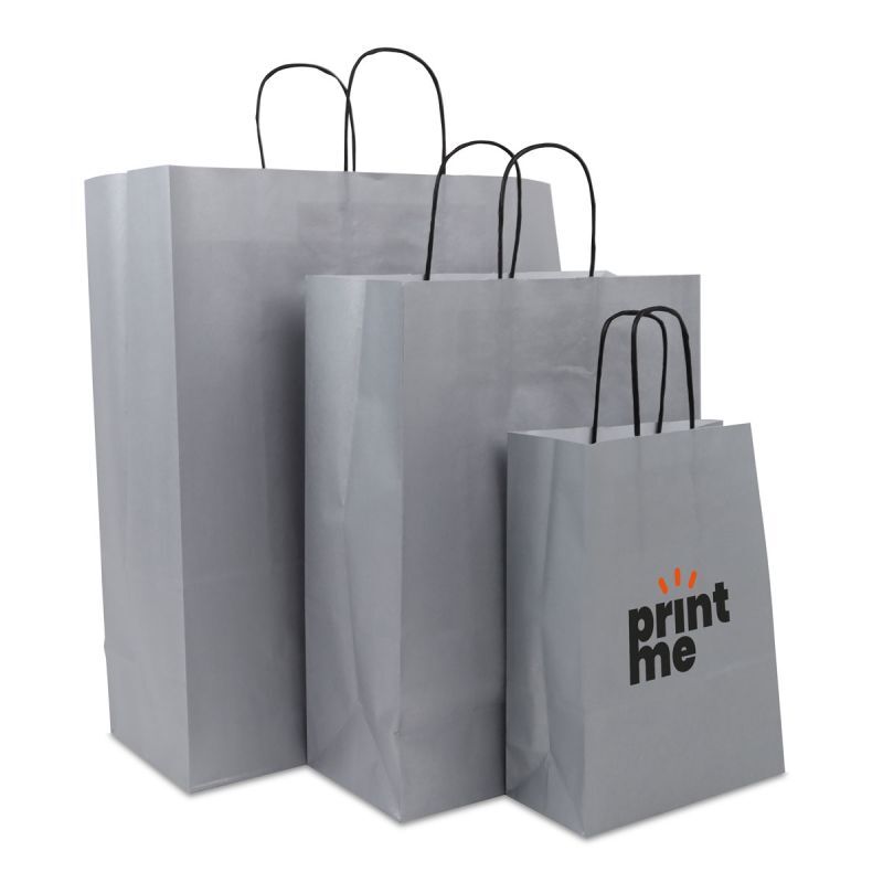 Papiertragetaschen mit gedrehte Griffe - Einfarbig 26+12x34 cm Silber (250 Stück) [FP-DPT073]