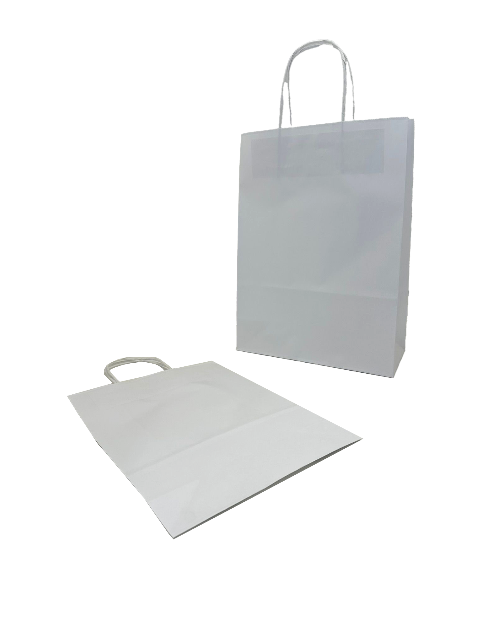 Papiertragetaschen Weiß 22x10x31cm (50 Stück) [PAMW2231]