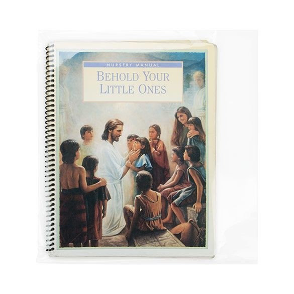 Flachbeutel 30.8x28.9cm OPP Transparent (100 Stück) [B1211NF]