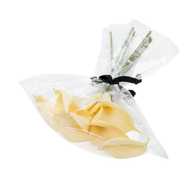 Flachbeutel 51.9x62cm OPP Transparent (100 Stück) [B20NF]