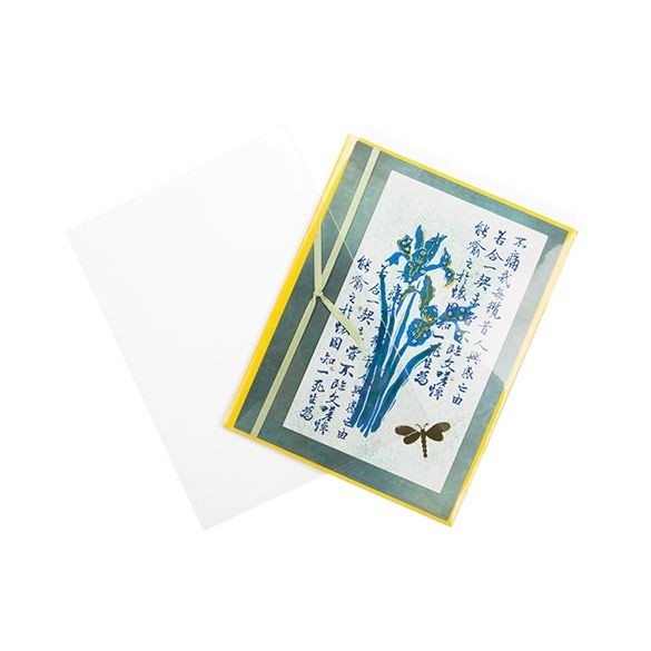 Flachbeutel 11x14.5cm OPP Transparent (100 Stück) [B4B5NF]