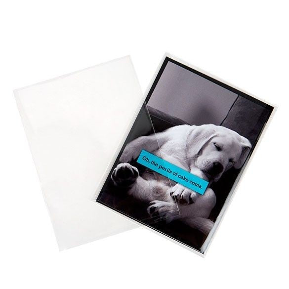 Flachbeutel 12.5x17 cm OPP Transparent (100 Stück) [B65NF]