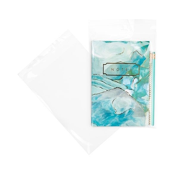 Klappenbeutel 17.5x24.1cm Hochtransparent (100 Stück) [B69XL]