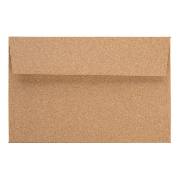 Umschläge Braun 22.2x14.6cm (50 Stück) [EB40]