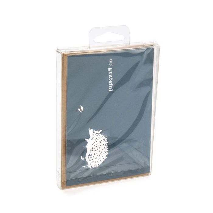 Klarsichtschachteln 9.6x1.6x13.2cm Transparent mit Aufhängeloch (25 Stück) [CHFB10]